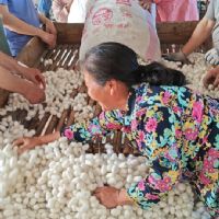 <img src=upfile/images/2025/06/18/small3_17502391194117200.jpg height=300>